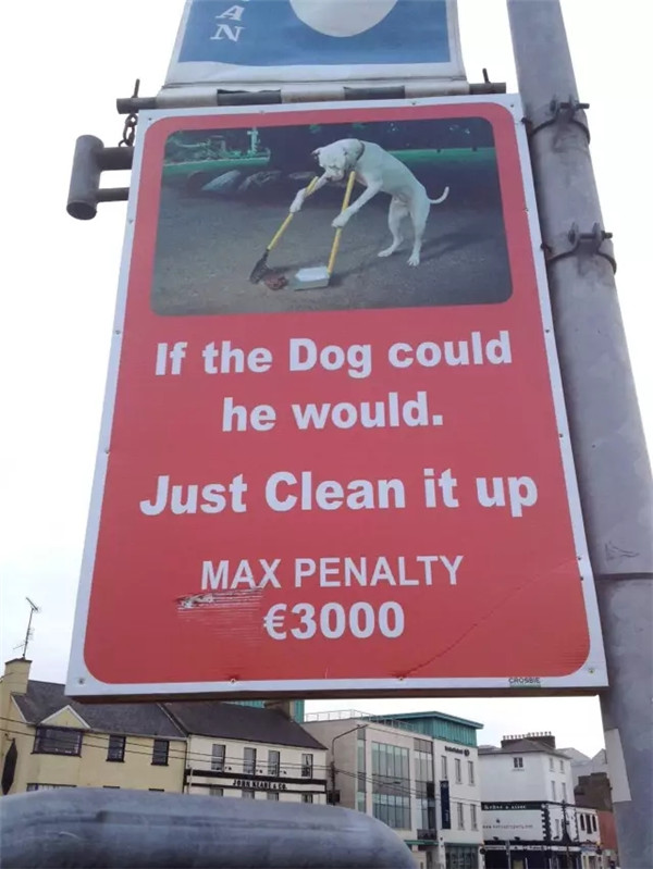 如果狗可以清理，他们一定会自己清理的.webp.jpg