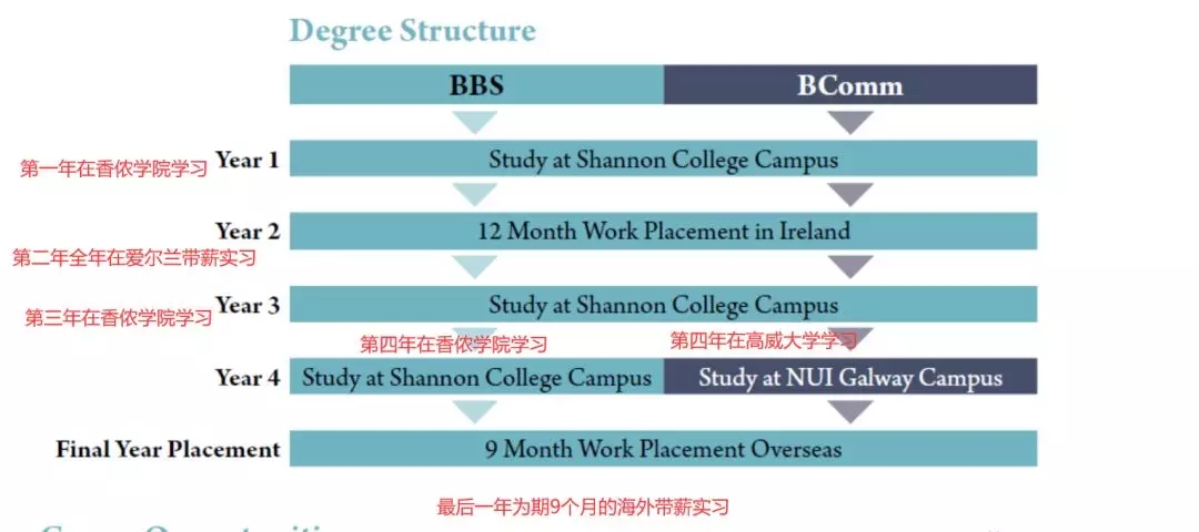 香侬2个本科课程的区别.webp.jpg